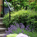 Watering and Fertilizing Plants for a Beautiful Outdoor Space