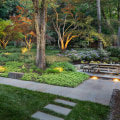 Pruning and Trimming Techniques for a Beautiful Outdoor Living Space