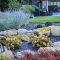 Tips for Managing Pests and Diseases in Landscaping and Construction
