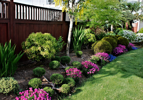 Dealing with Weeds and Pests: Transforming Your Outdoor Space into a Beautiful Oasis