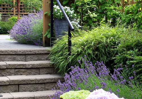 Watering and Fertilizing Plants for a Beautiful Outdoor Space