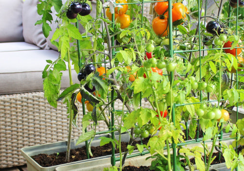 Choosing the Right Vegetables to Grow: A Guide to Improve Your Outdoor Living Space