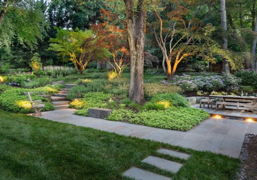 Pruning and Trimming Techniques for a Beautiful Outdoor Living Space