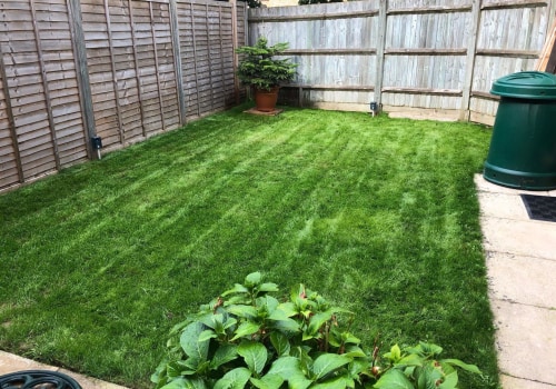 Aerating and Overseeding Your Lawn: Tips and Advice for Outdoor Renovations