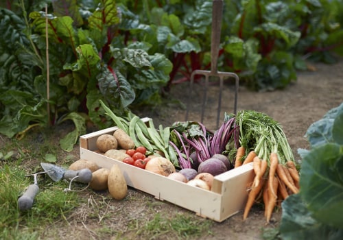 Harvesting and Storing Vegetables: A Guide for Landscaping and Construction Enthusiasts