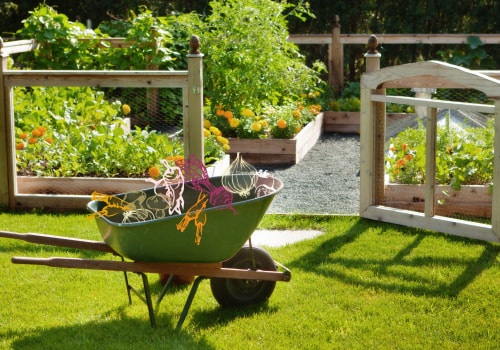 Planting and Maintaining a Vegetable Garden: Tips and Advice for Your Outdoor Living Space